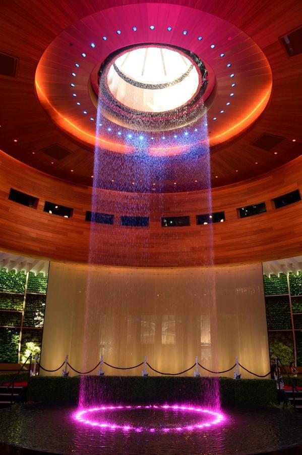 The Guitar Hotel At Seminole Hard Rock Hotel & Casino 戴维 外观 照片
